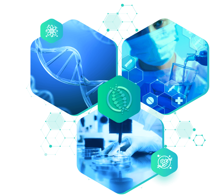 تاریخچه همای دارو سلامت​